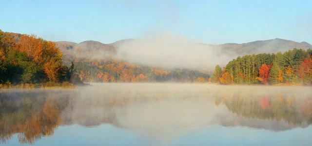 Lake autumn foliage fog